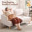 Yanelys 56.55'' Loveseat-39129526