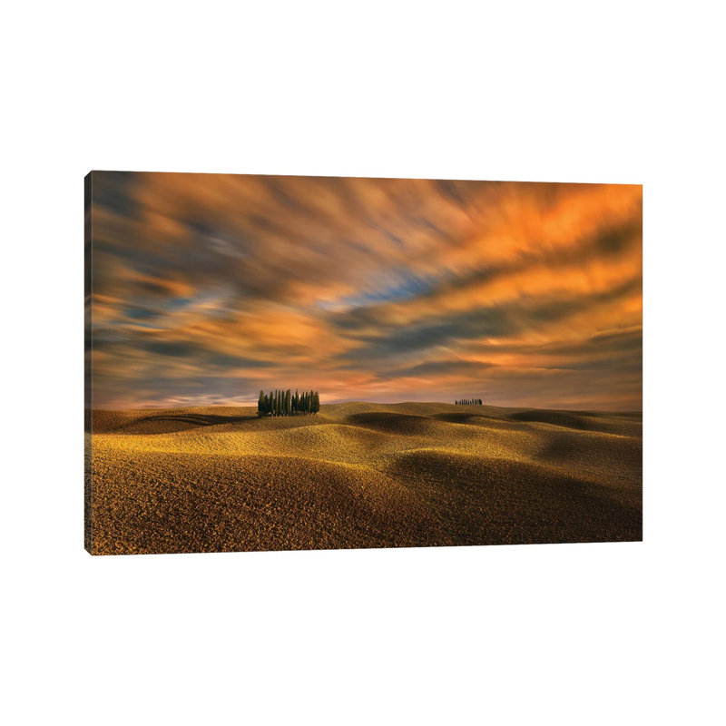 Cypresses 1 Piece Wrapped Canvas Wall Art, 101.6 cm H x 66.04 cm W x 3.175 cm D