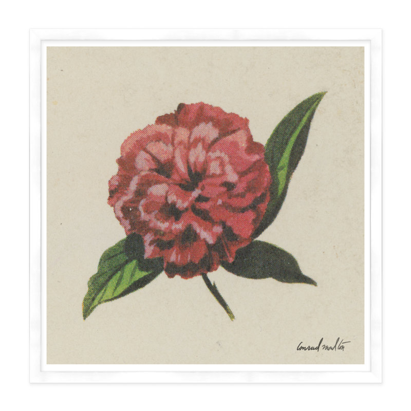 Fleur rose - reproduction de cadre photo, Blanc