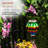 10"-19"H Adjustable Solar Hanging Balloon with Flicker LED Lights