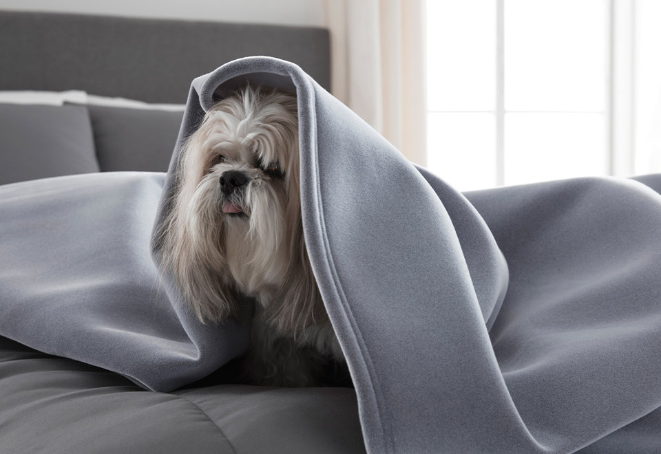 Vellux Original Blankets