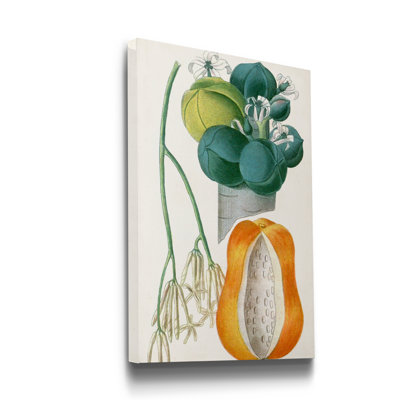 " Turpin Tropical Fruit XII "
