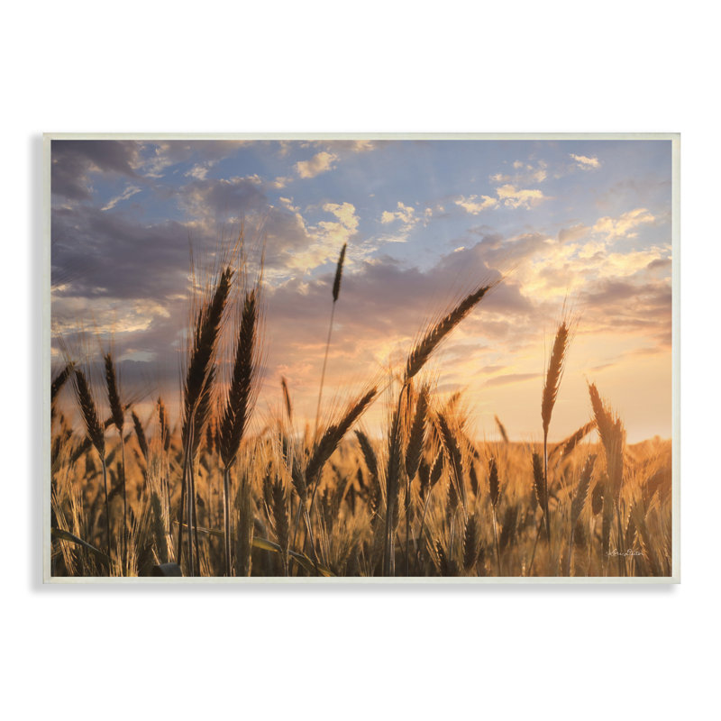 Photographie d'un cadre photo sur un panneau de fibres à densité moyenne, Plaque murale, H 10 po x l 15 po x P 0,5 po