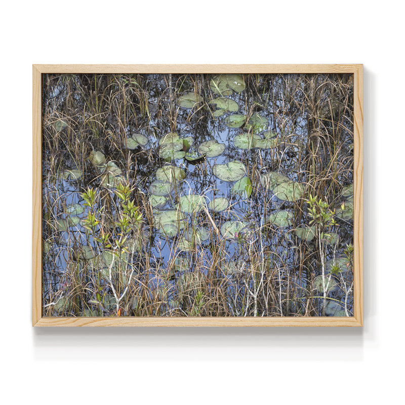 The Marsh - Reproduction encadrée - Restickable, H 8 po x l 10 po, Naturel