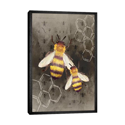 Bee Charmer II by Kimberly Allen - Print on Canvas