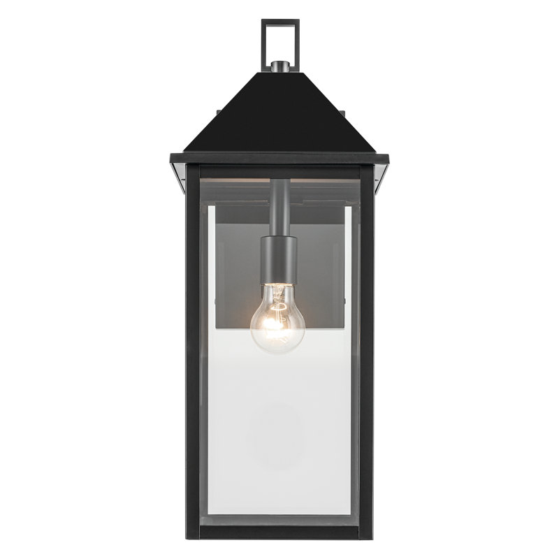 22" 1-Light Outdoor Wall Light with Clear Glass, Satin Black