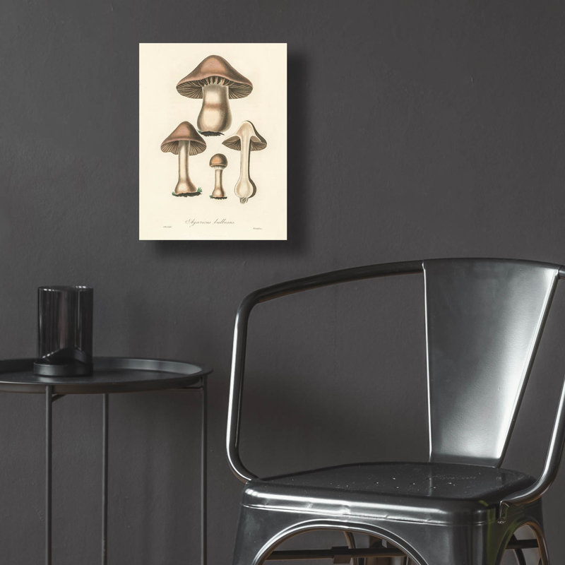 Art mural en verre acrylique épique «Agaricus bullosus» par Art Licensing Studio, 12 po x 16 po