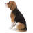 Beagle Dog Sitting Statue