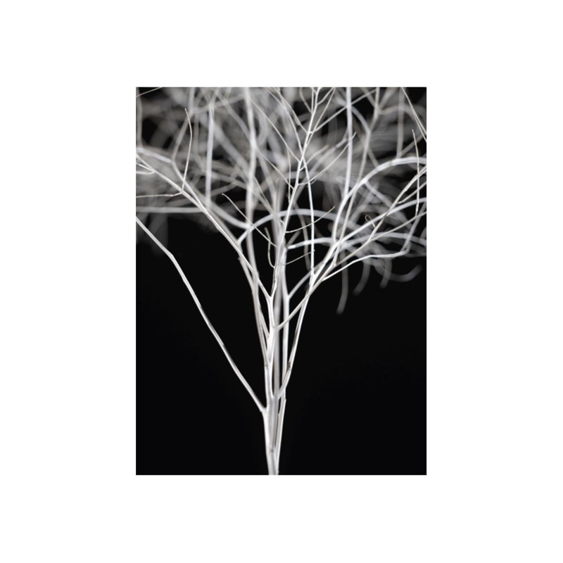 Sonora I Print by Chris Dunker, 72" H x 54" W x 1.5" D, Glass Coat
