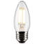 4 Watt Clear LED Bulb-72591212
