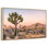 Joshua Tree Patch