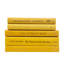Modern Saffron Book Stack, S/5