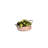 Ronaldo 3 Piece Dining Bowl Set