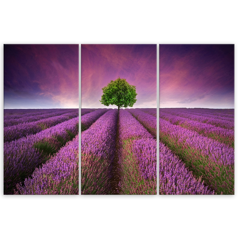 Leinwandbild Flower Meadow Lavender Landscape