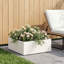 Planter-1791093591-1791093602-1791093605