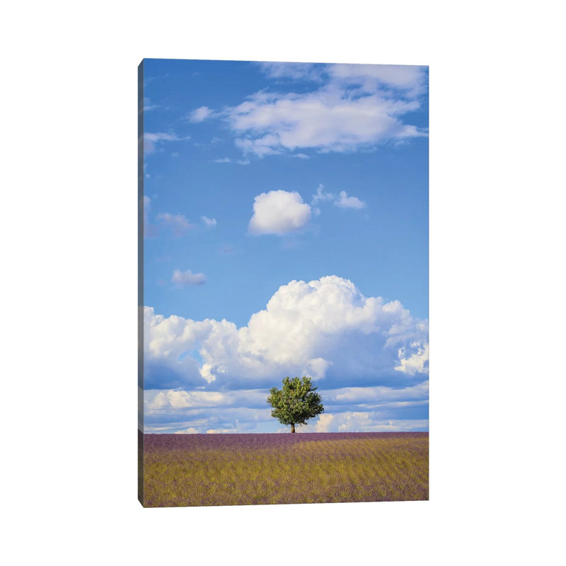 France, Provence, Valensole Plateau. Field of Lavender and Tree. 1 Piece Wrapped Canvas Wall Art, 30.48cm H x 20.32cm W