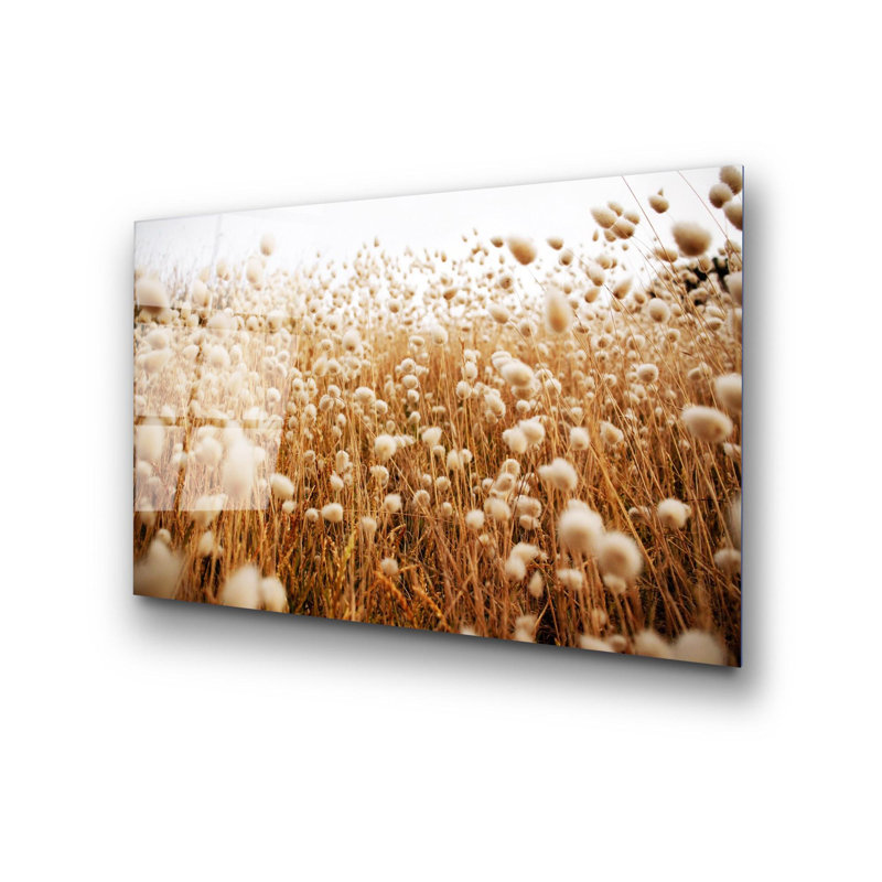 Boze Wall Decor