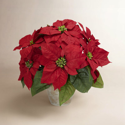 Poinsettia Floral Arrangement