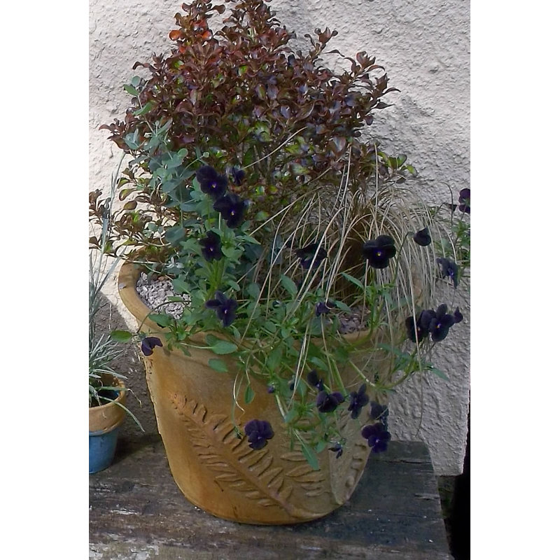 Vazquez Fibreglass Cachepot, Medium