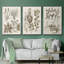 " Sepia Botanical Journal VI " 3 - Pieces-91891620-91891628