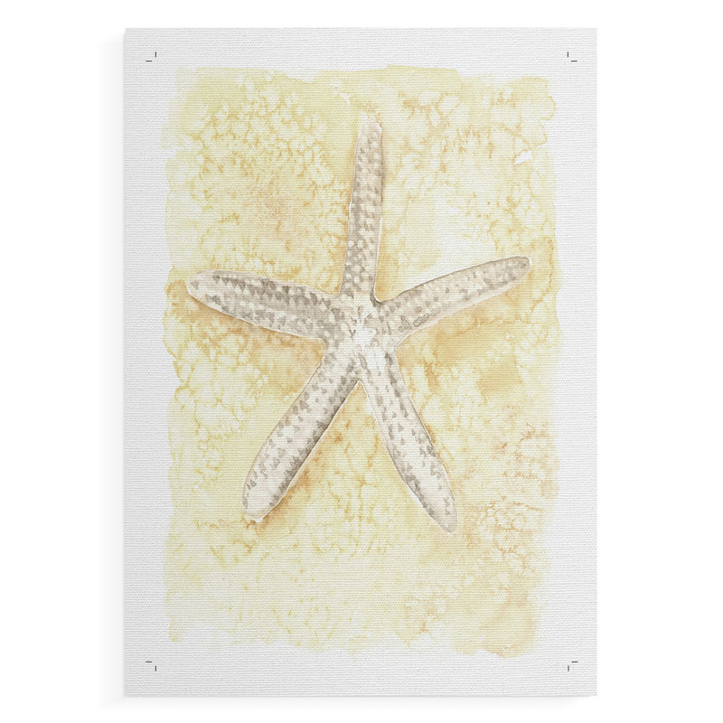 Salty Seashell I - Impression sur toile seulement - NON-CADRE, H 18 po x l 12 po
