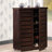 Baxton Studio Modern Shoe Cabinet With Four Shelves And Silver PVC Legs 38.34" H