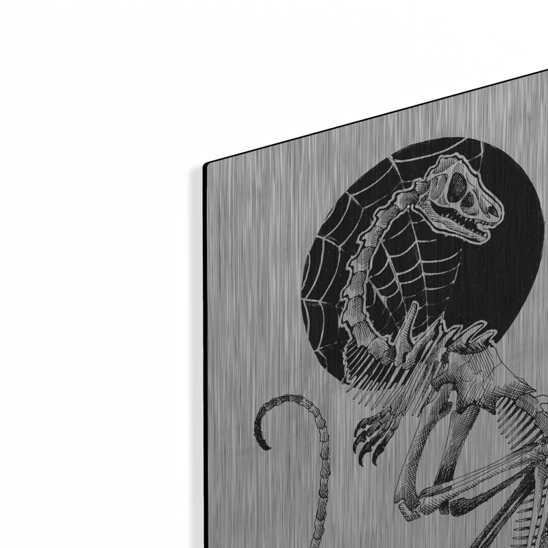 «Skeletal Velociraptor» par Avery Multer, H 24 po x l 16 po