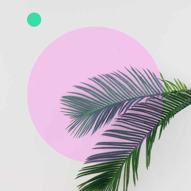 Tropical Palm Leaves - Wrapped Canvas Print, 30cm H x 30cm W x 3.8cm D