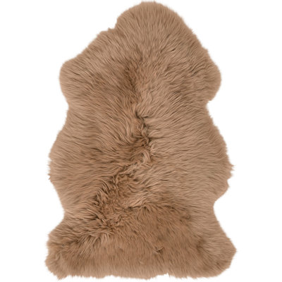 Asberry Novelty 70 cm x 100 cm Area Rug