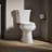 Highline 1.28 GPF Water Efficient Round Two-Piece toilet (Seat Not Included)-1693584730