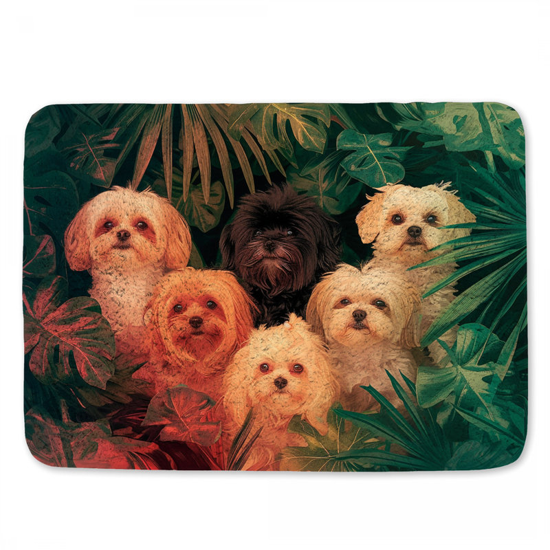 Tapis de bain pour chien, L 21 po x L 34 po