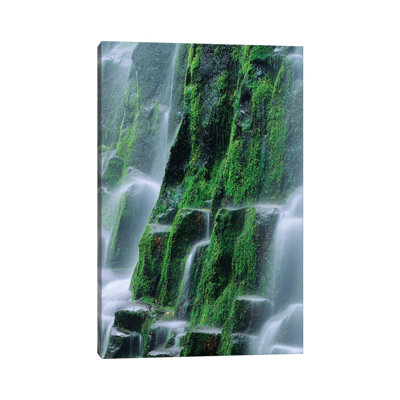 USA, Oregon, Three Sisters Wilderness. Close-up Of Proxy Falls. by Jaynes Gallery - Wrapped Canvas Print