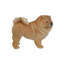 Statue debout de chow-chow debout