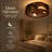 Semi Flush Mount Ceiling Light