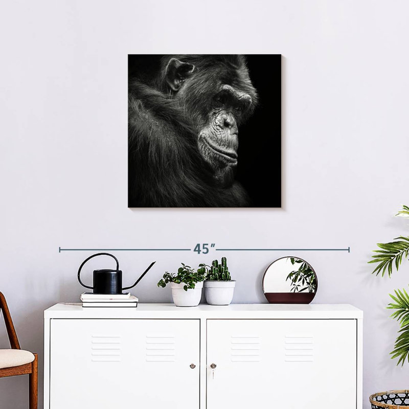 Crowle Contemplating Chimpanzee, H 24 po x l 24 po