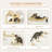 PawHut 10-Level Wall-Mounted Cat Tree Climbing Playground with Hammocks, Modern Design