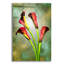 "Fleurs rouges" par Mark Ashkenazi-986636607