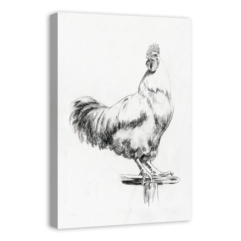 « campagne coq sketch », reproduction d’art sur toile, H 18 po x l 12 po, Toile tendue