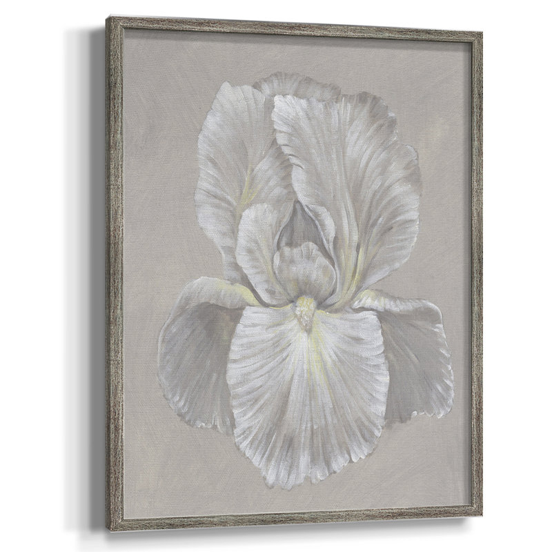 Iris blanc I, reproduction encadrée - bois massif, H 11 po x l 9 po