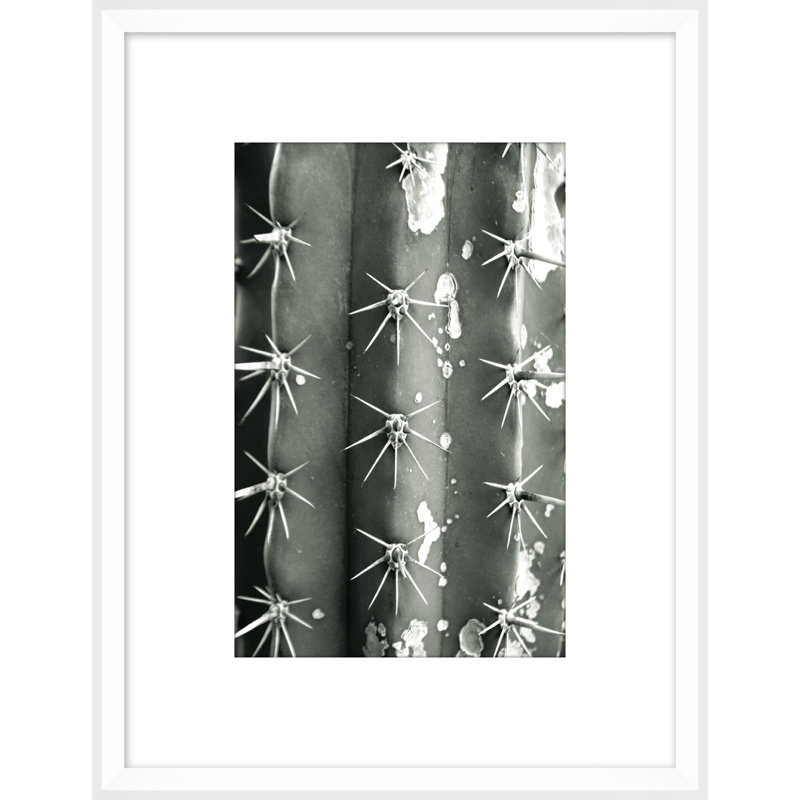Silver Spike Small 4 Framed Photographic Print