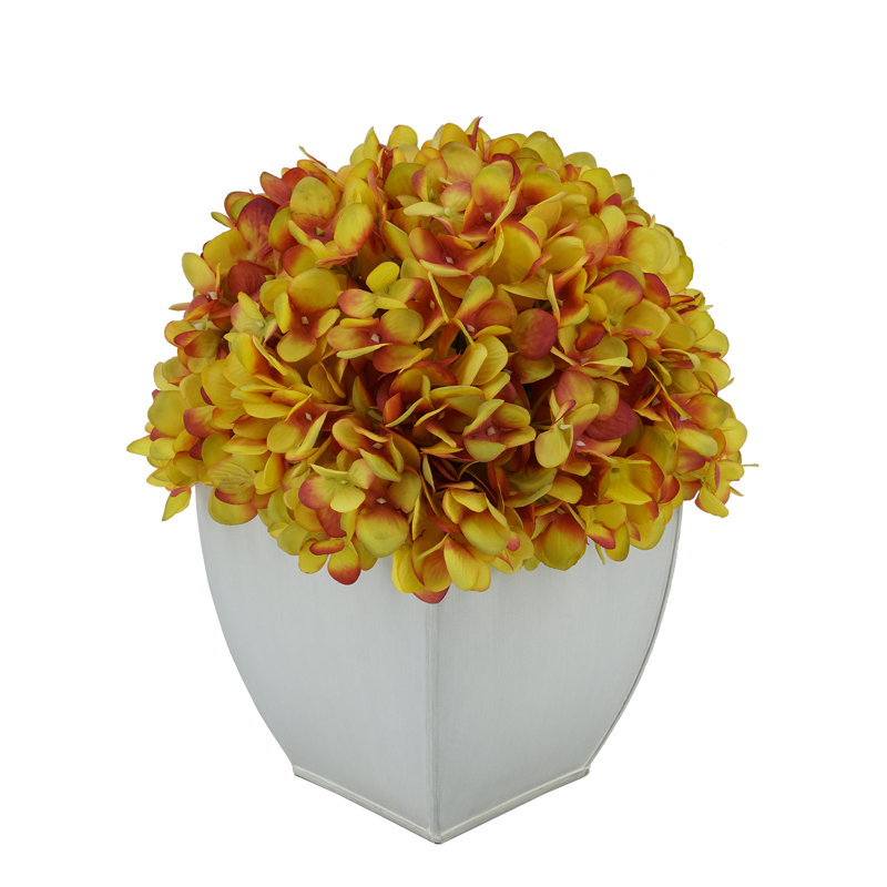 Arrangements floraux d'hortensias en pot, Or