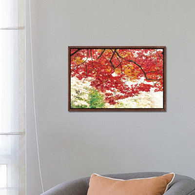 The Red Dome by Philippe Sainte-Laudy - Print on Canvas