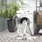 Faux Rabbit Bubble 100 Performance Machine Washable No Pattern Rug-108596964