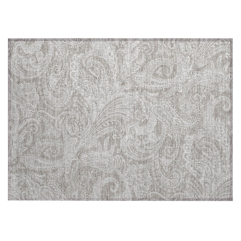 Cresley Paisley Indoor / Outdoor Rug, Rectangle 1'8" x 2'6"