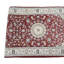 Performance Oriental Indoor Rug