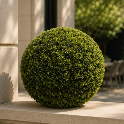 45cm Faux Boxwood Topiary in Pot Liner