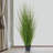 Artificial Onion Zebra Grass in Starter Pot-409982144