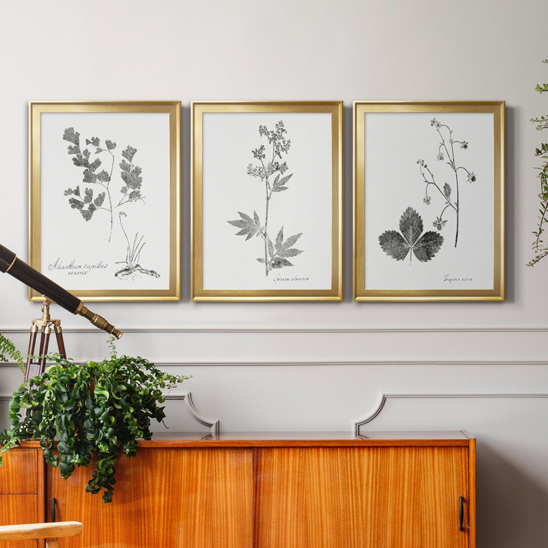 «Botanical Imprint I», ensemble de 3 peintures sur toile encadrées, H 22,5 po x l 91,5 po x P 1,5 po, Doré