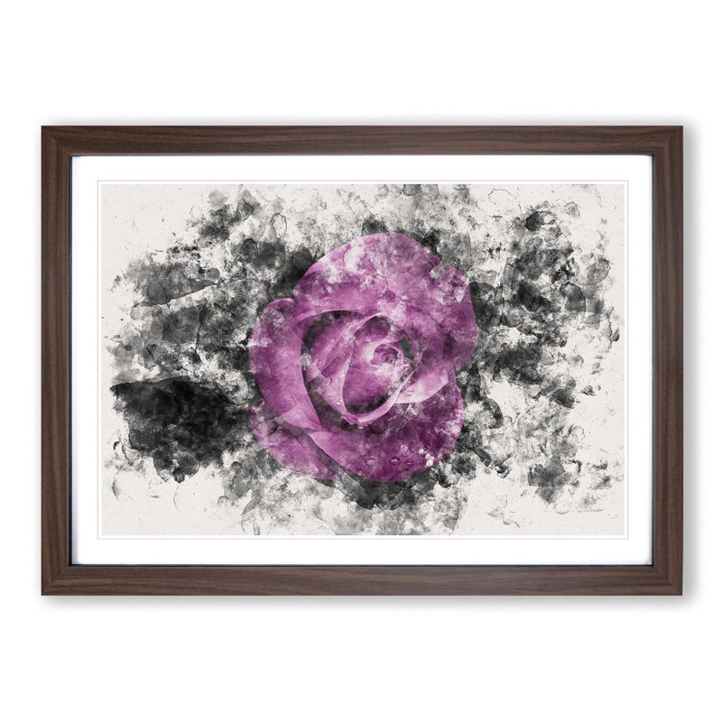 Purple Rose in the Shadows - Framed Print, 24cm H x 33cm W x 2cm D, Walnut Framed