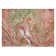  Machine Washable Indoor/Outdoor Chayden ACN1061 Rug